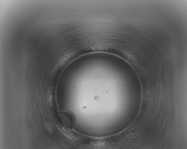 X0000059840687200510281825