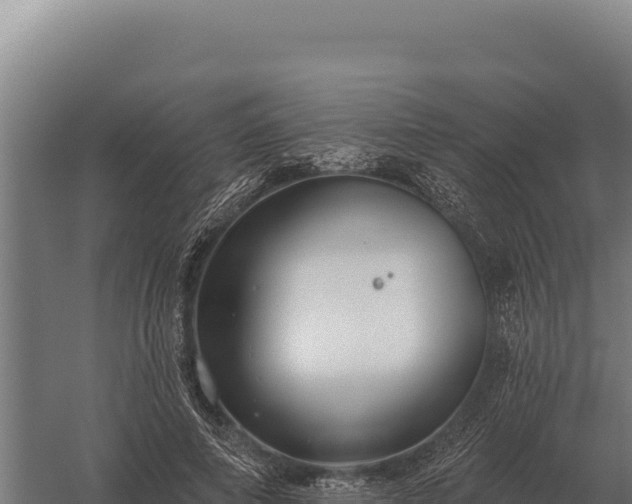 X0000059840690200510281825