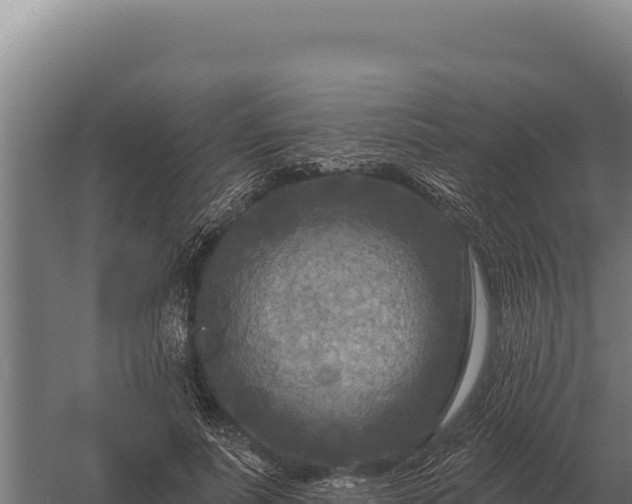 X0000059840691200510281825