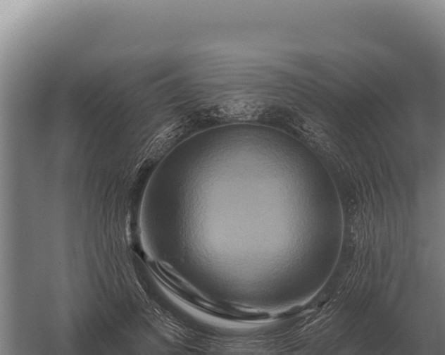 X0000059840693200510281825