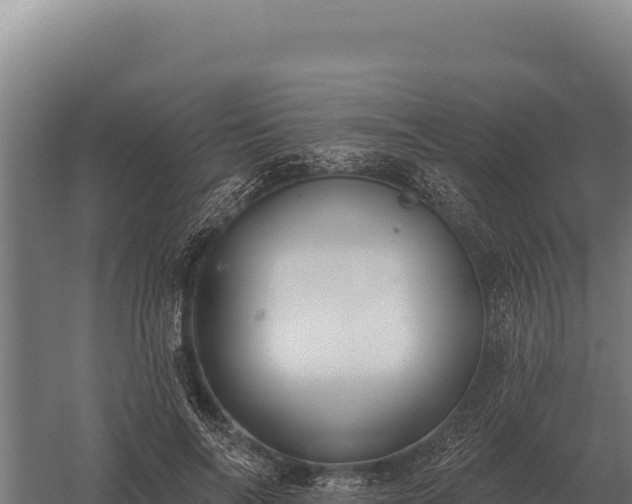 X0000059840694200510281825