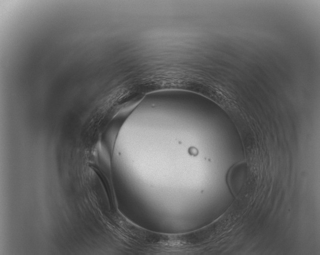 X0000059840695200510281825