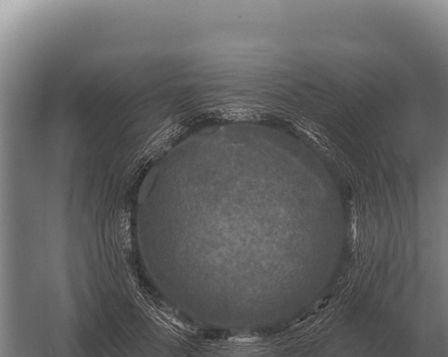 X0000059840696200510281825