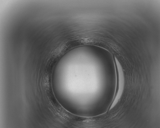 X0000059840700200510281824