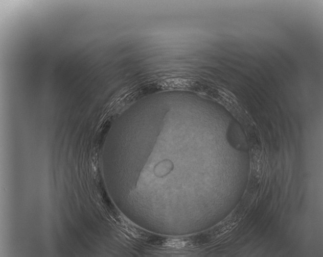 X0000059840701200510281824