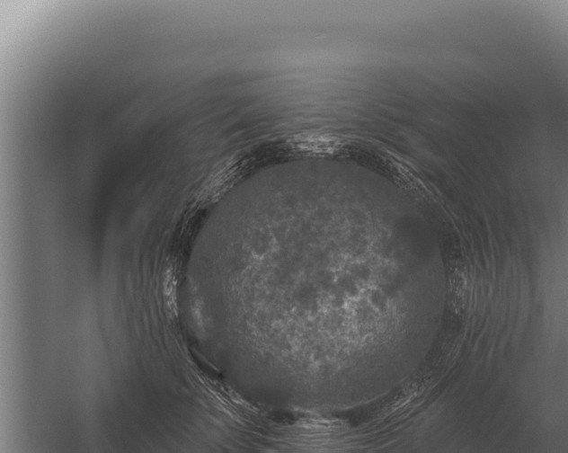 X0000059840707200510281824