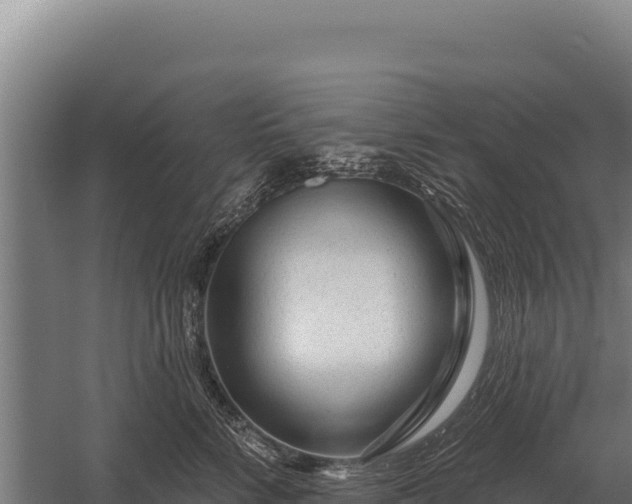 X0000059840712200510281824