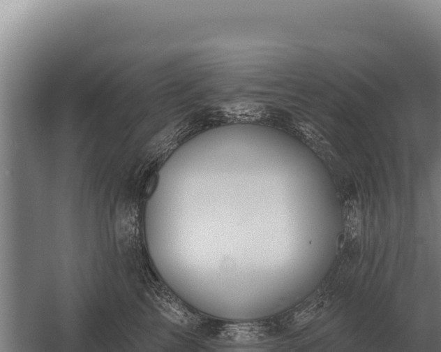 X0000059840713200510281824