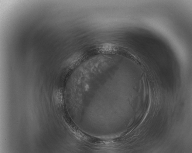 X0000059840715200510281824