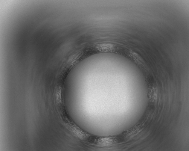 X0000059840717200510281824