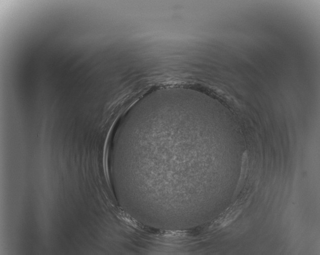 X0000059840720200510281824