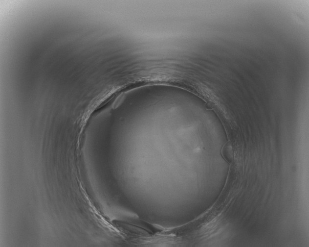 X0000059840721200510281823