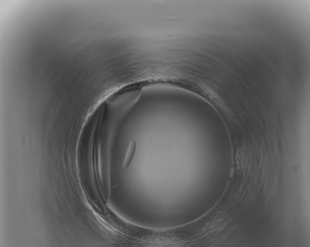 X0000059840722200510281823