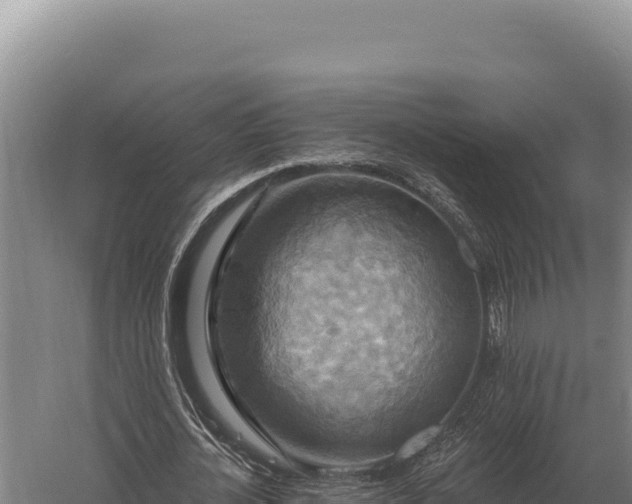 X0000059840724200510281823