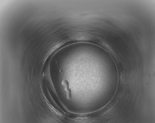 X0000059840725200510281823