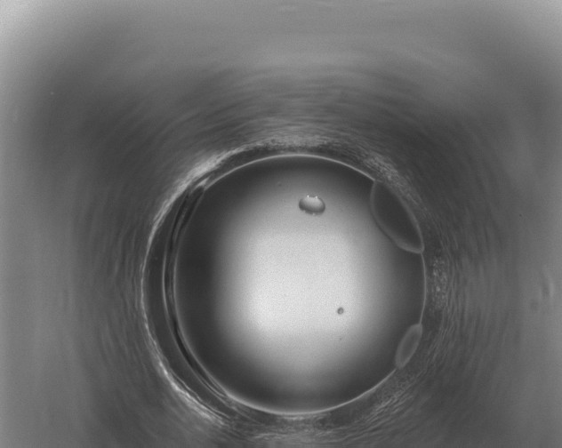 X0000059840726200510281823