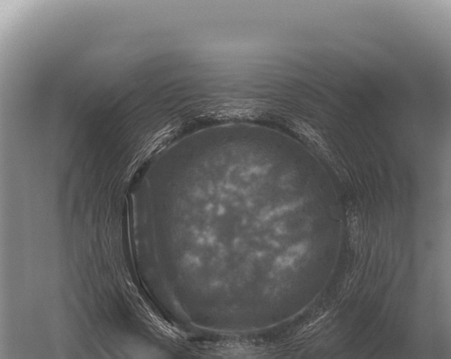 X0000059840729200510281823