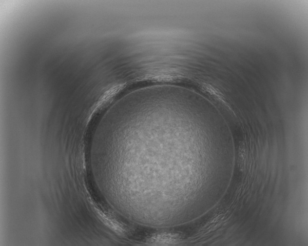 X0000059840734200510281824