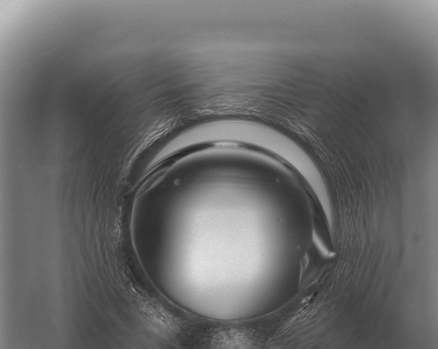 X0000059840735200510281824