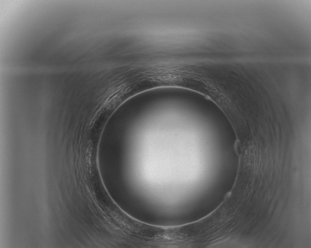 X0000059840739200510281824