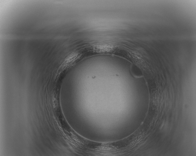 X0000059840743200510281824