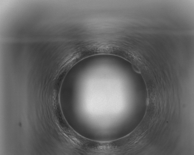 X0000059840744200510281824