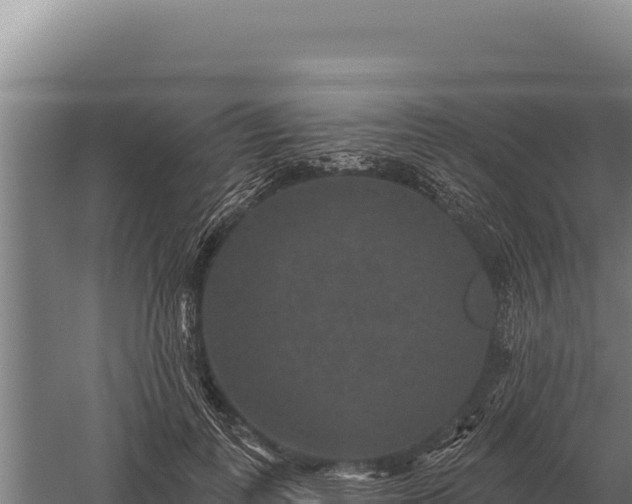 X0000059840747200510281824