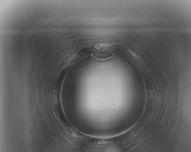 X0000059840751200510281824