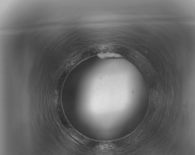 X0000059840752200510281824