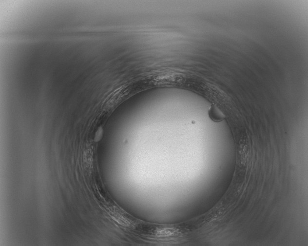 X0000059840753200510281824