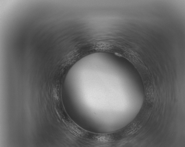 X0000059840755200510281824