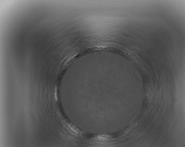 X0000059840758200510281824