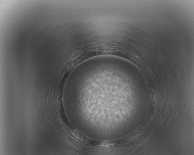 X0000059840760200510281824