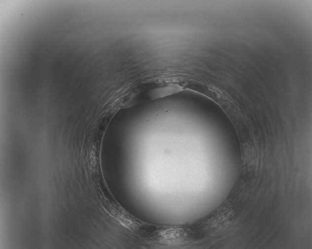 X0000059840761200510281824