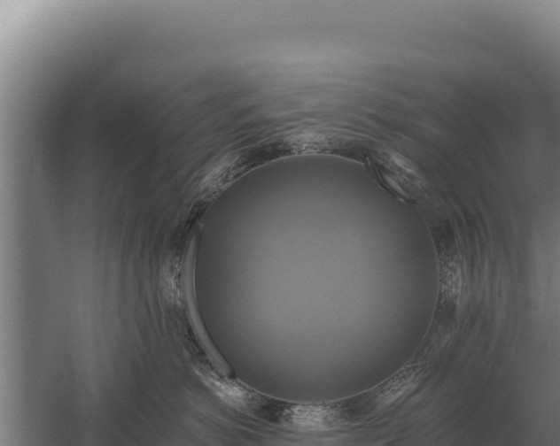 X0000059840766200510281824