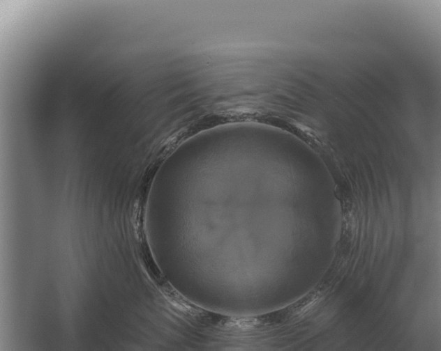 X0000059840767200510281824