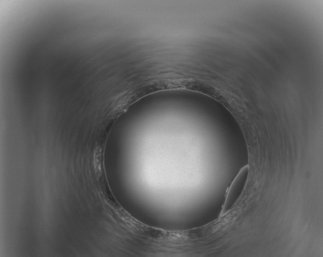 X0000059840768200510281824