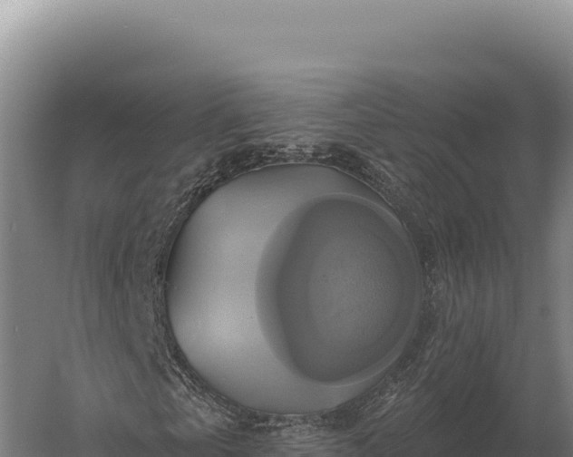 X0000059840769200510281823