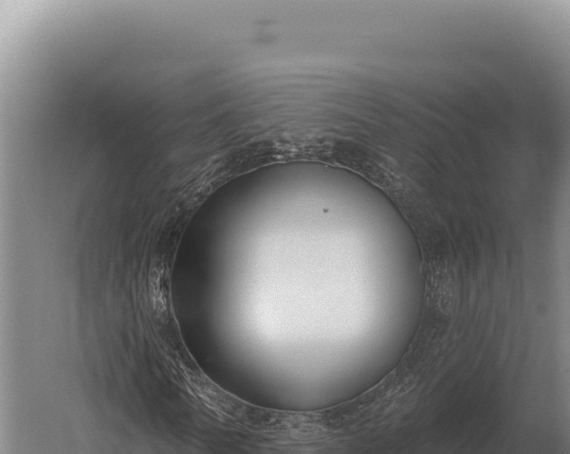 X0000059840770200510281823