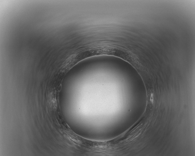 X0000059840771200510281823