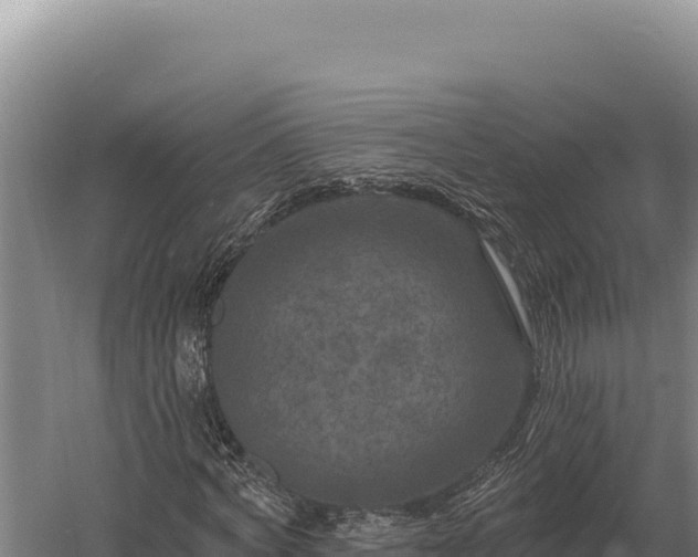 X0000059840772200510281823