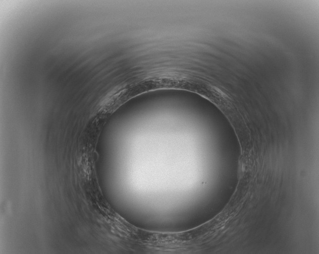 X0000059840774200510281823