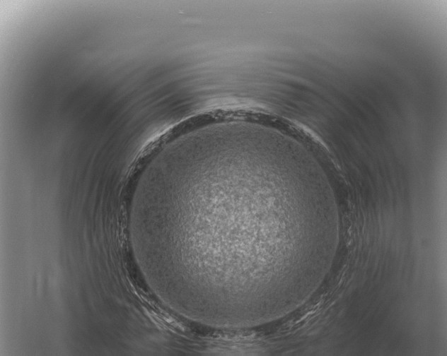 X0000059840775200510281823