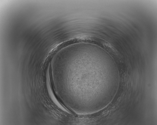 X0000059840776200510281823