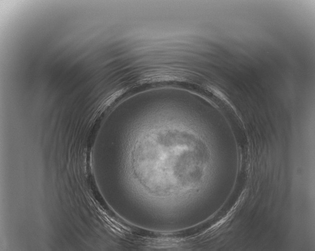 X0000059840777200510281823