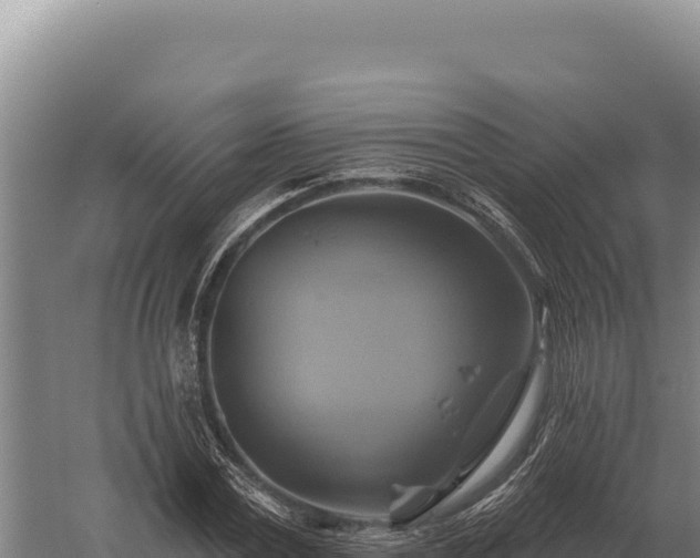 X0000059840779200510281823