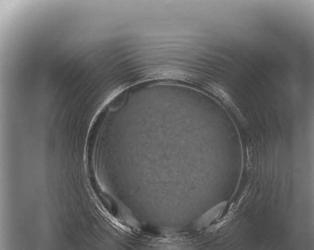 X0000059840780200510281823