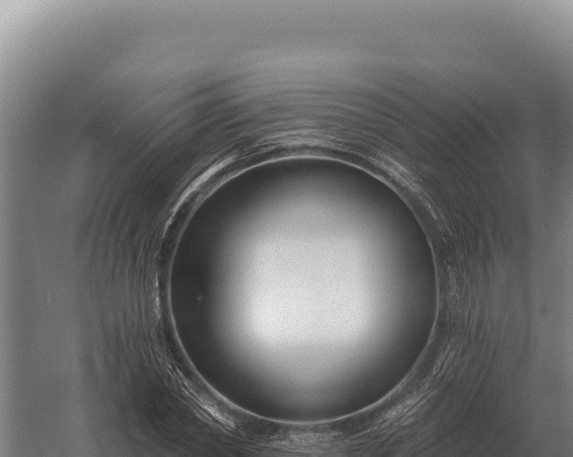 X0000059840782200510281823