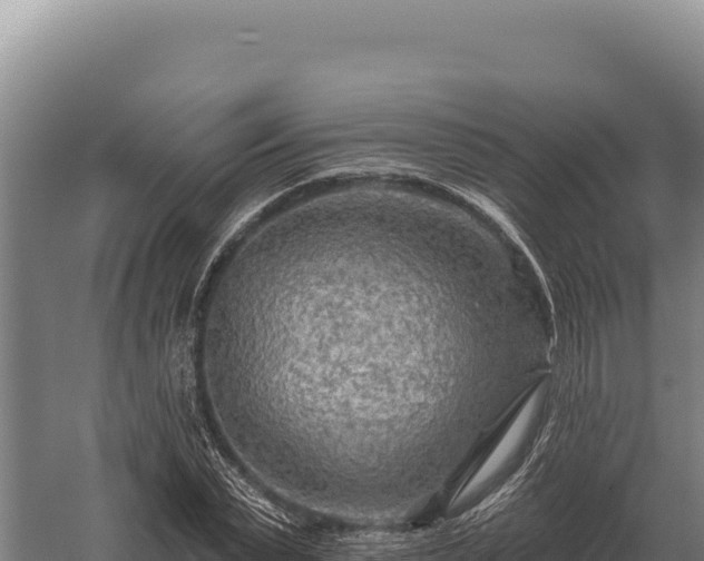 X0000059840783200510281823