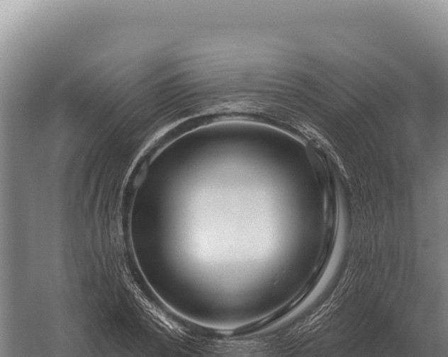 X0000059840784200510281823